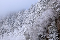 NC Mountains in Winter