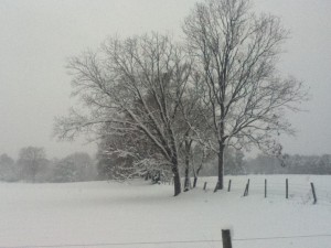 Winter Snow in NC