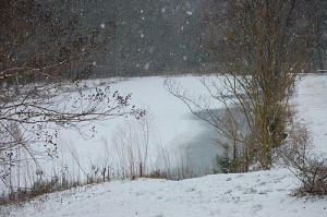 Snow Scenes in North Carolina