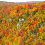 NC Mountains Fall Foliage 2016