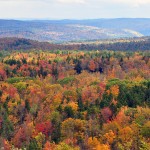 NC Fall Foliage 2020 and Fall Colors 