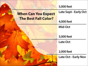 Elevation Timeline Fall Foliage NC